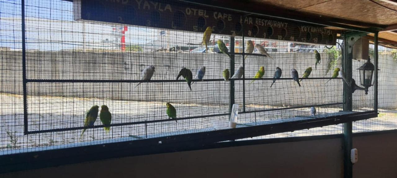 Grand Yayla Hotel Çeşme Luaran gambar