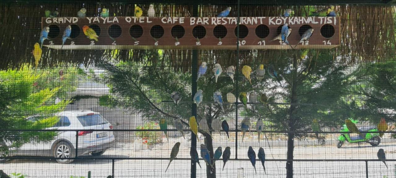 Grand Yayla Hotel Çeşme Luaran gambar